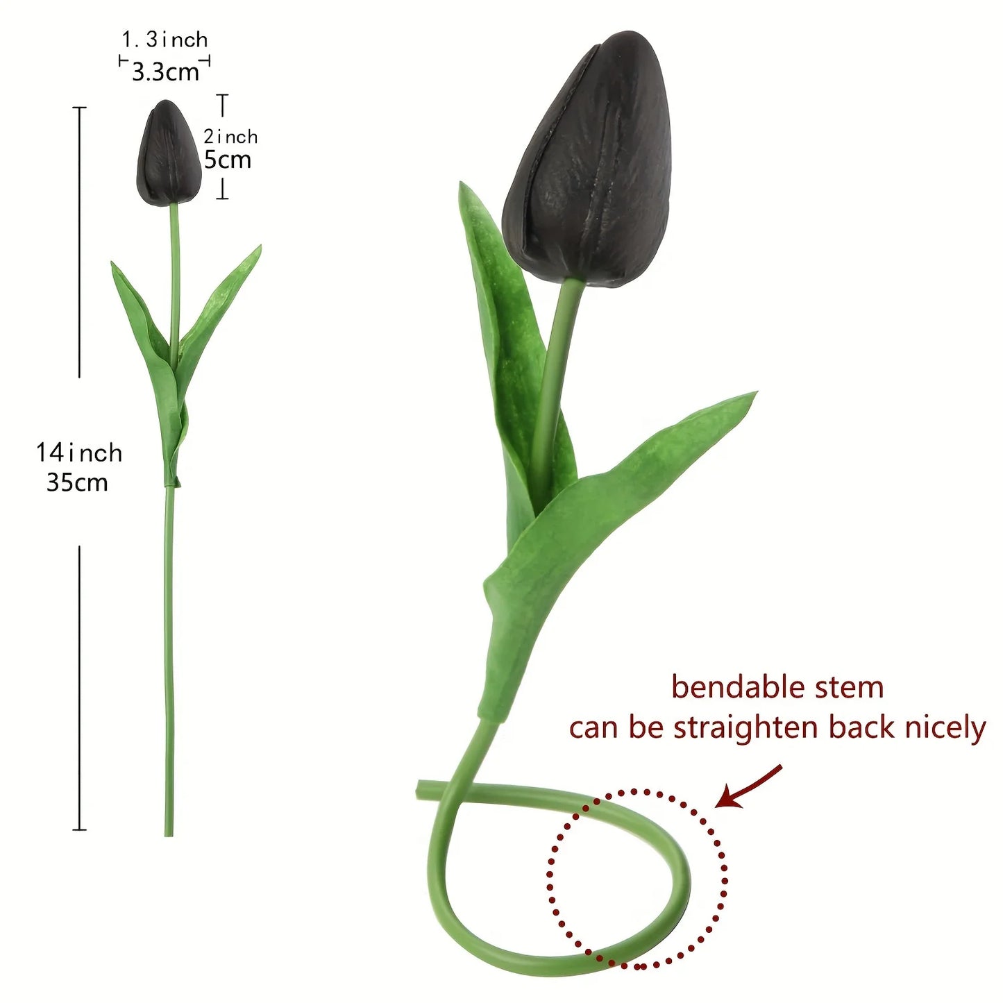 20pcs Black Tulips