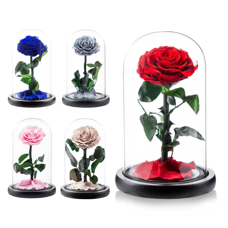 Preserved Eternal Roses in Glass Case