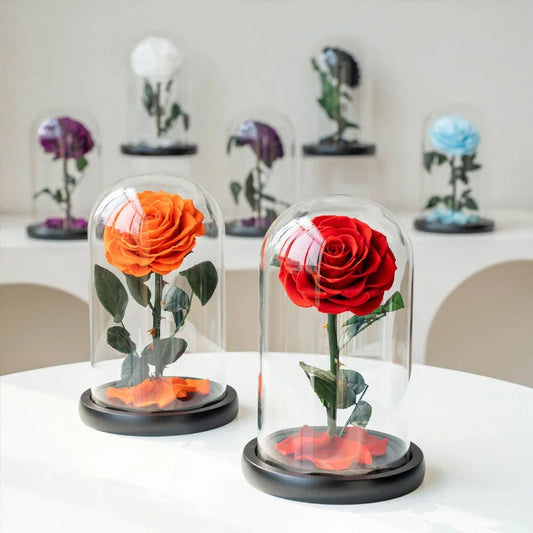 Preserved Eternal Roses in Glass Case