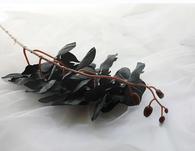 Long Black Butterfly Orchid Branch