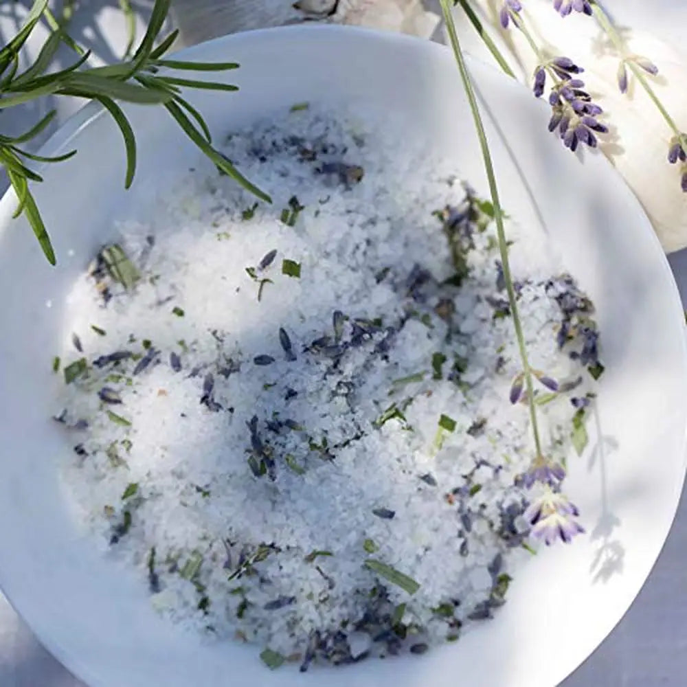 Highland Lavender Flower Buds
