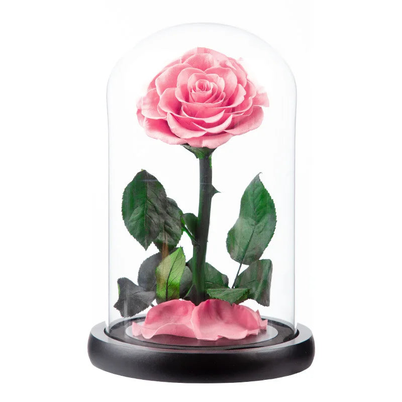 Preserved Eternal Roses in Glass Case