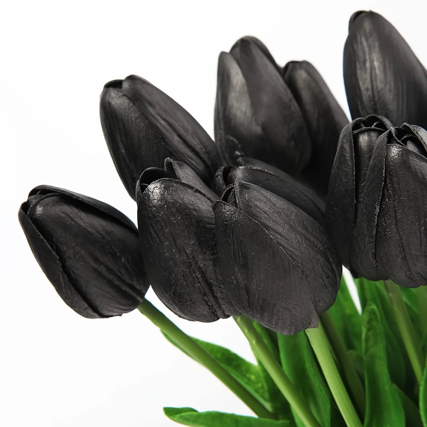 20pcs Black Tulips