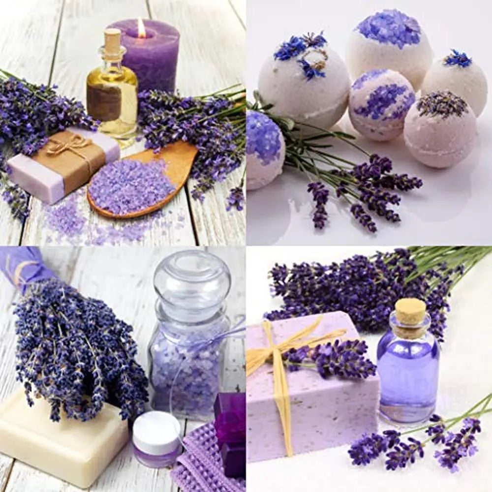 Highland Lavender Flower Buds
