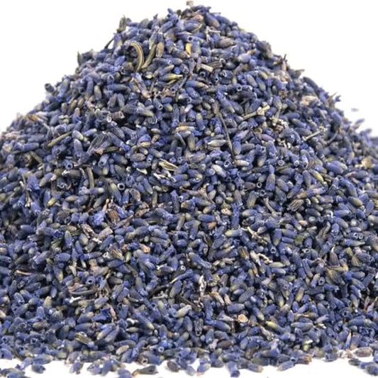 Highland Lavender Flower Buds