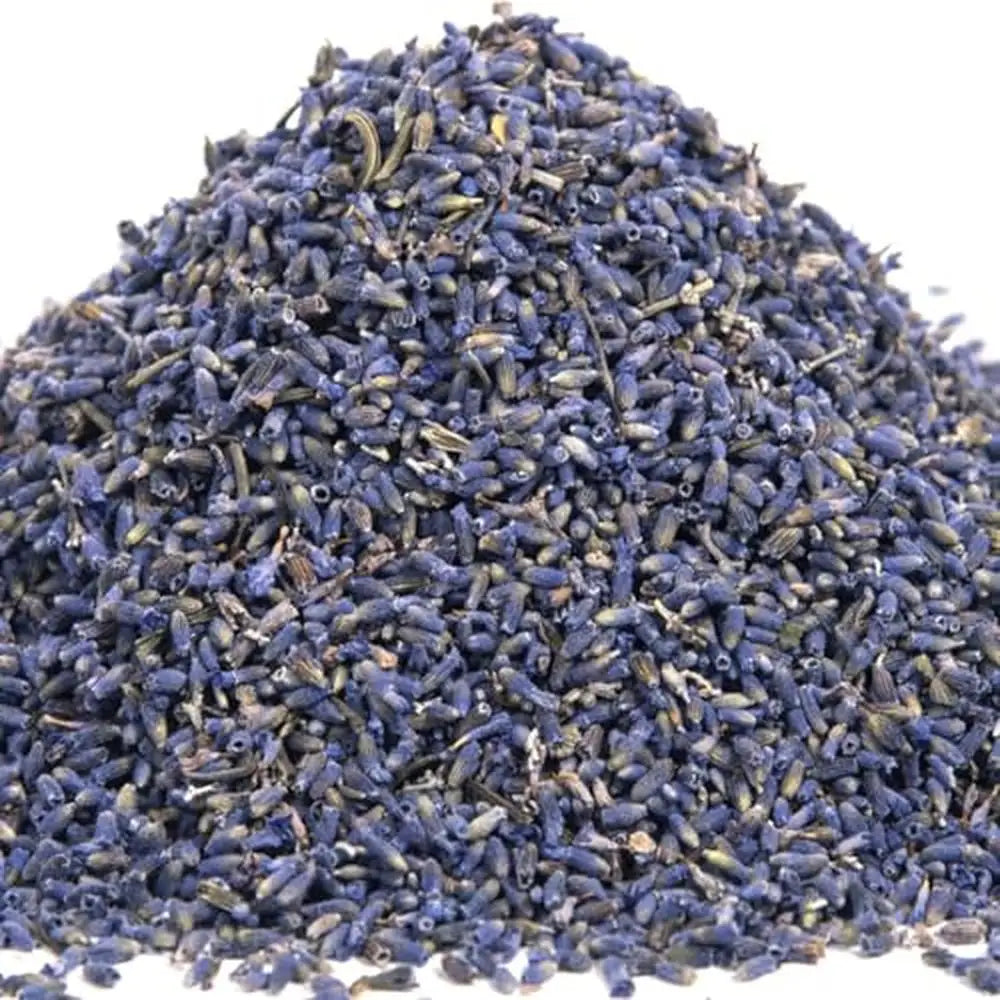 Highland Lavender Flower Buds