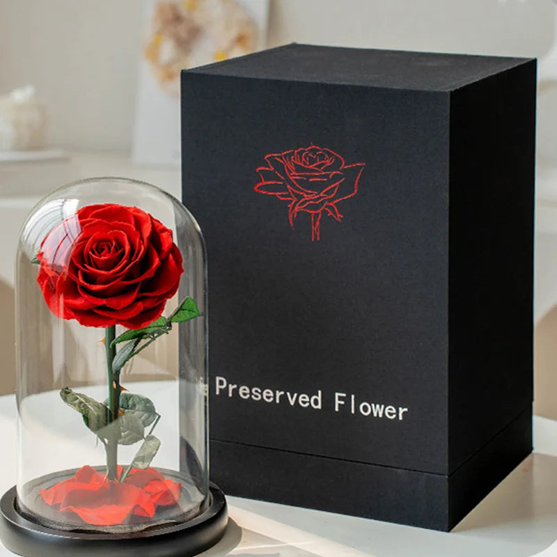 Preserved Eternal Roses in Glass Case