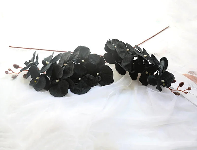 Long Black Butterfly Orchid Branch