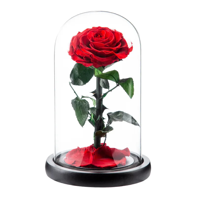 Preserved Eternal Roses in Glass Case