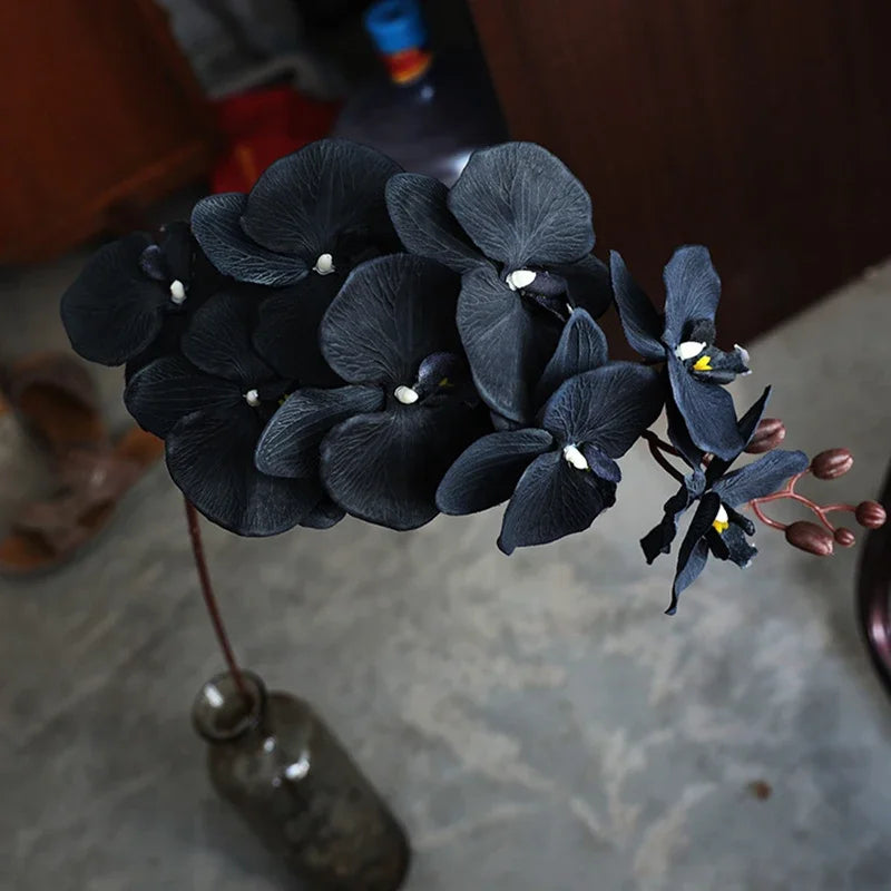 Long Black Butterfly Orchid Branch