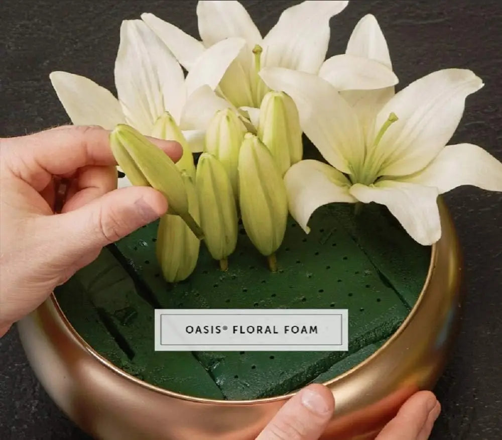 Floral Foam, 3" x 4" 48 Piece
