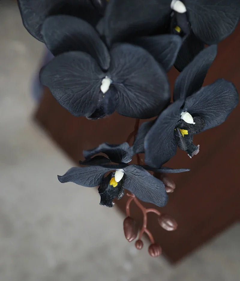 Long Black Butterfly Orchid Branch