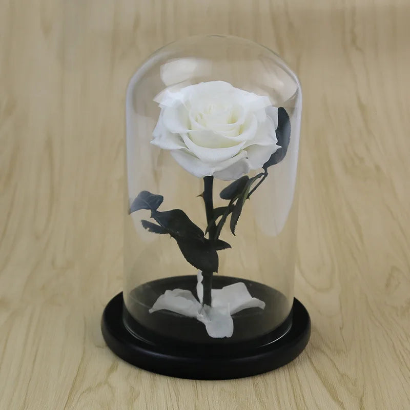 Preserved Eternal Roses in Glass Case