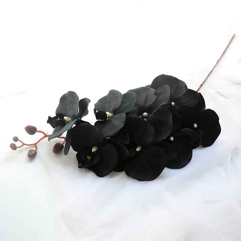 Long Black Butterfly Orchid Branch