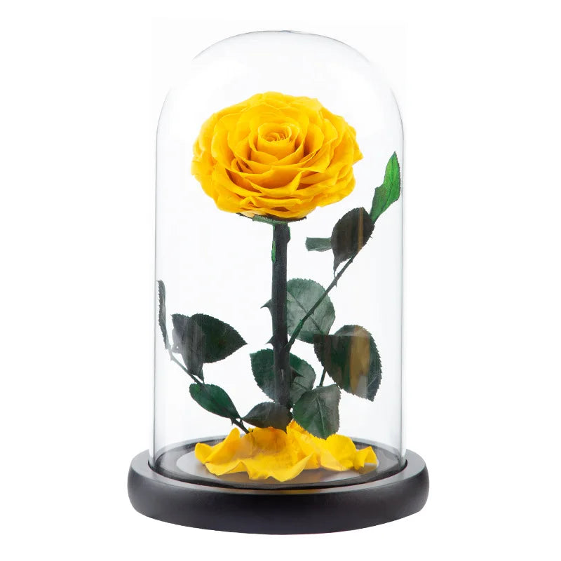 Preserved Eternal Roses in Glass Case
