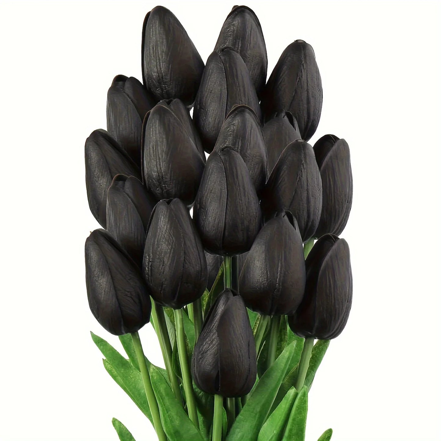 20pcs Black Tulips