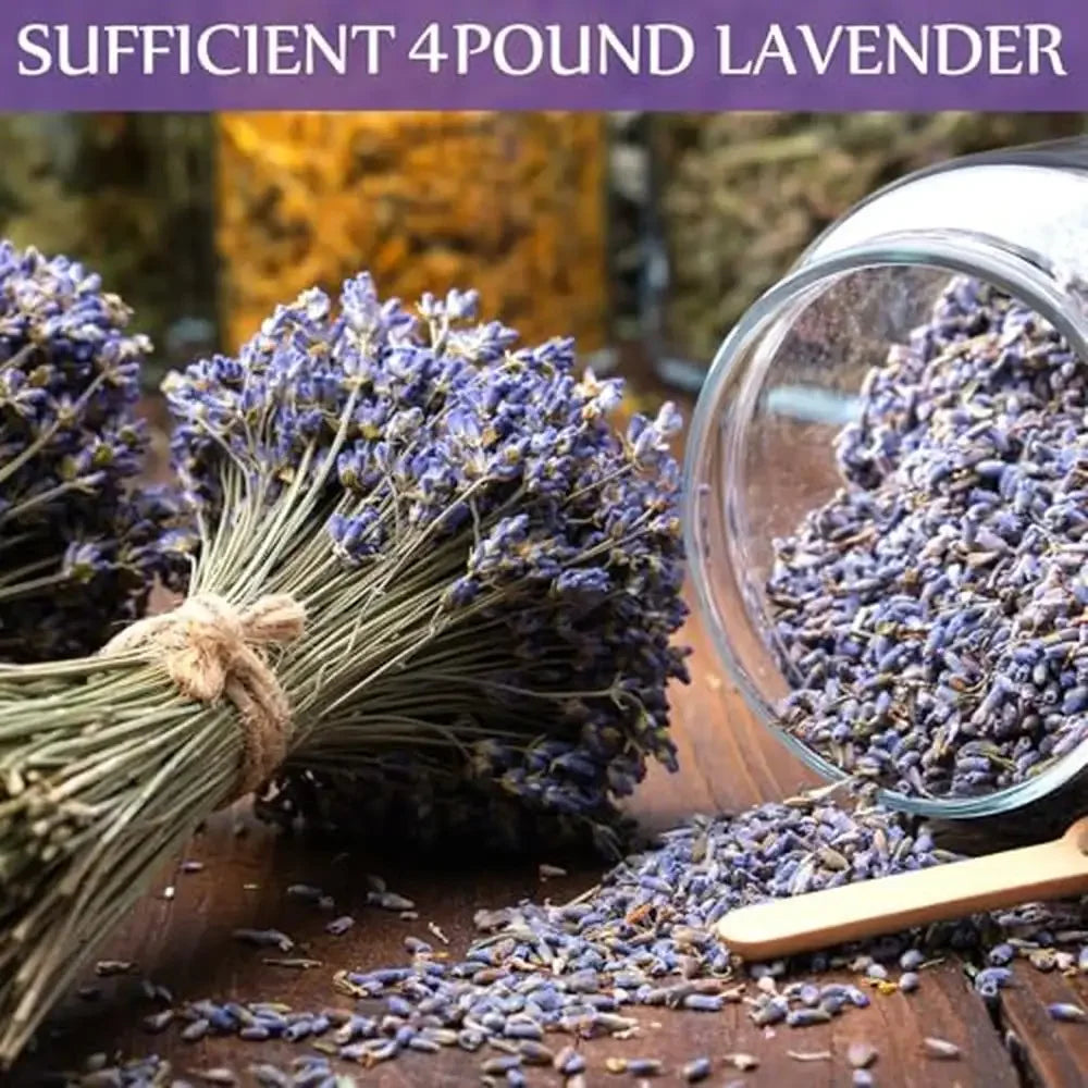 Bulk Dried Lavender Buds